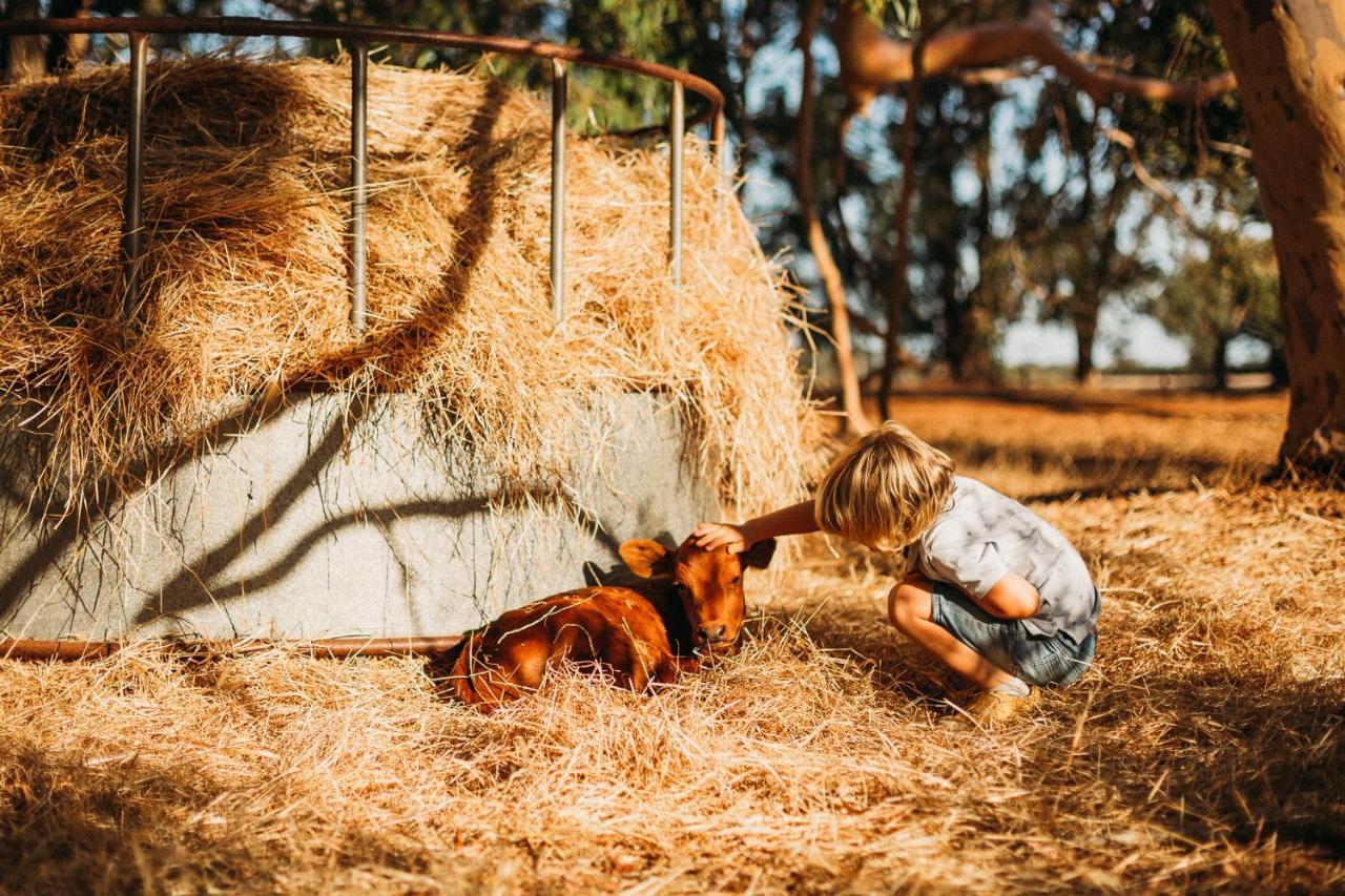 Margaret River Holiday Cottages מראה חיצוני תמונה