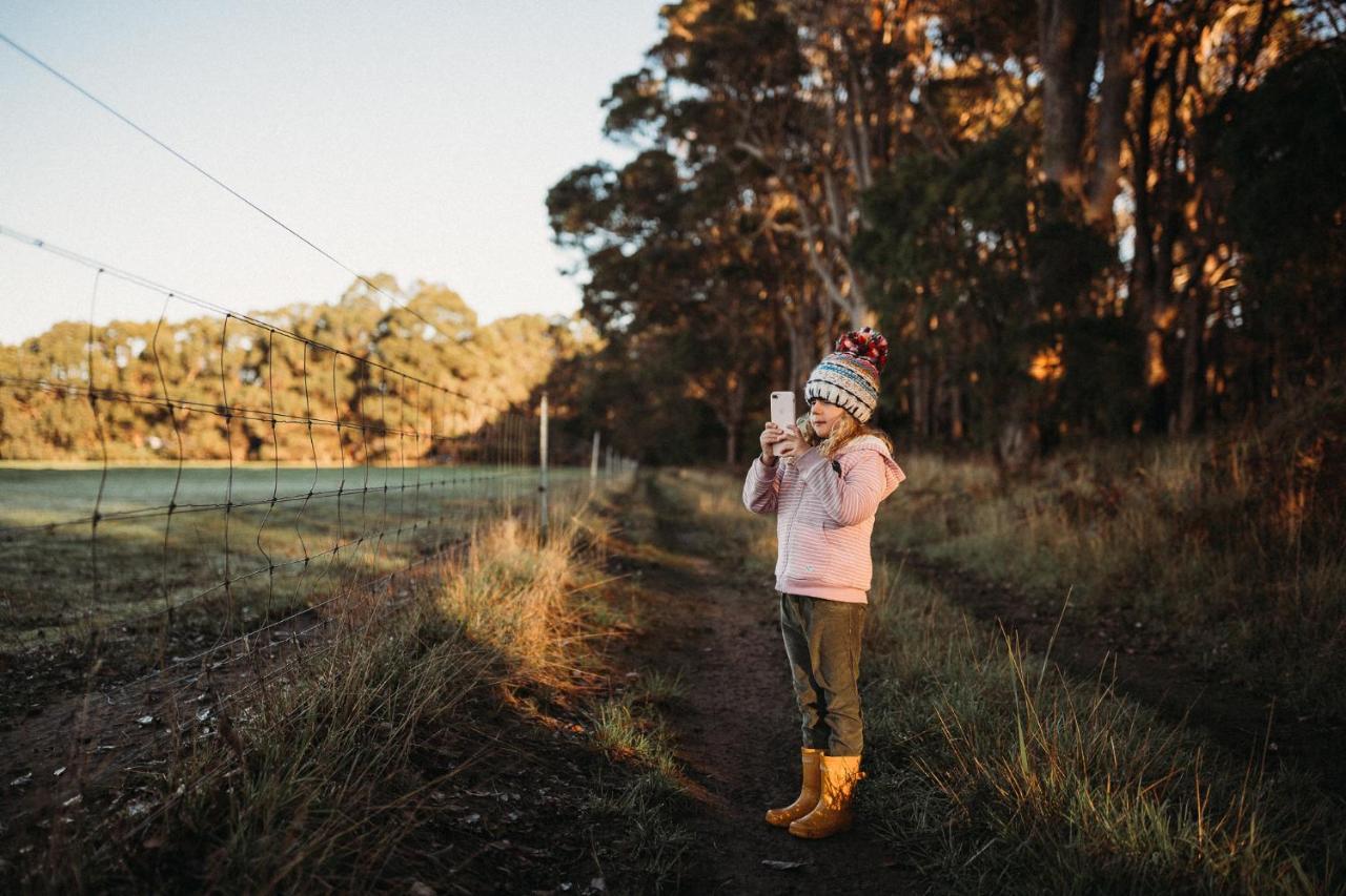 Margaret River Holiday Cottages מראה חיצוני תמונה