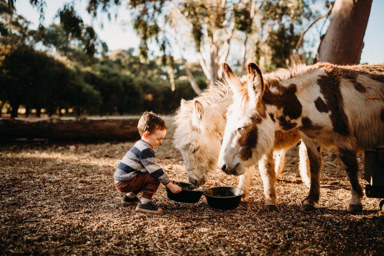 Margaret River Holiday Cottages מראה חיצוני תמונה