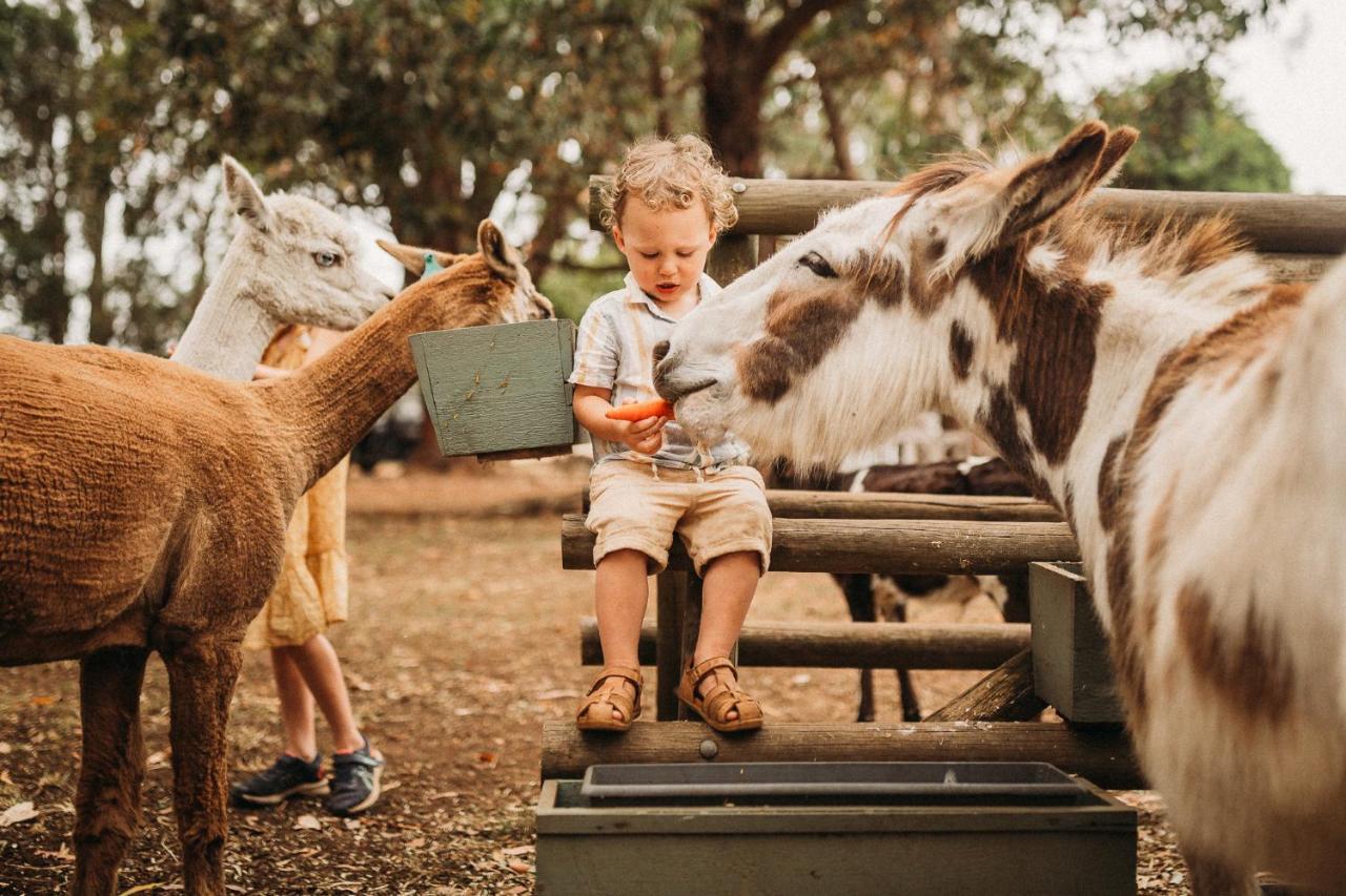 Margaret River Holiday Cottages מראה חיצוני תמונה