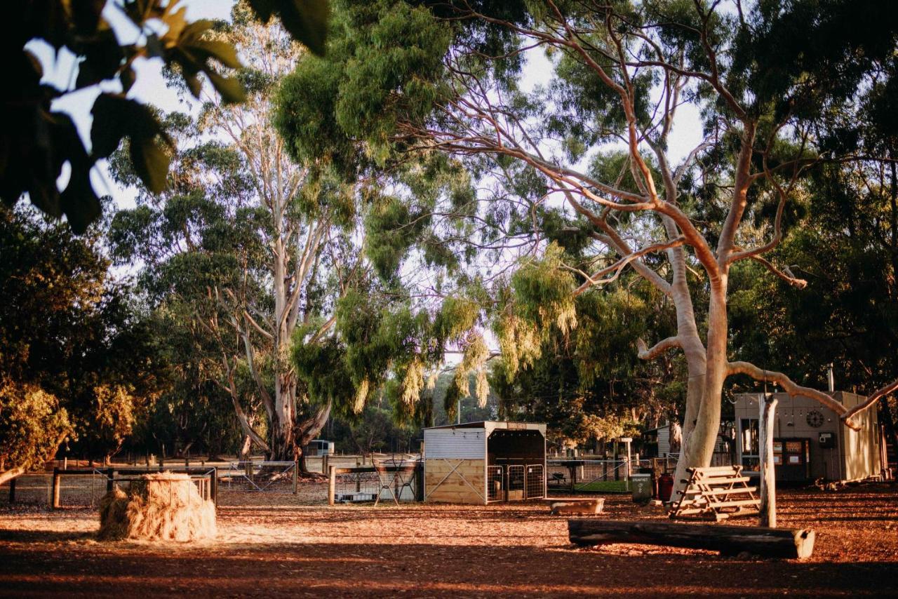 Margaret River Holiday Cottages מראה חיצוני תמונה