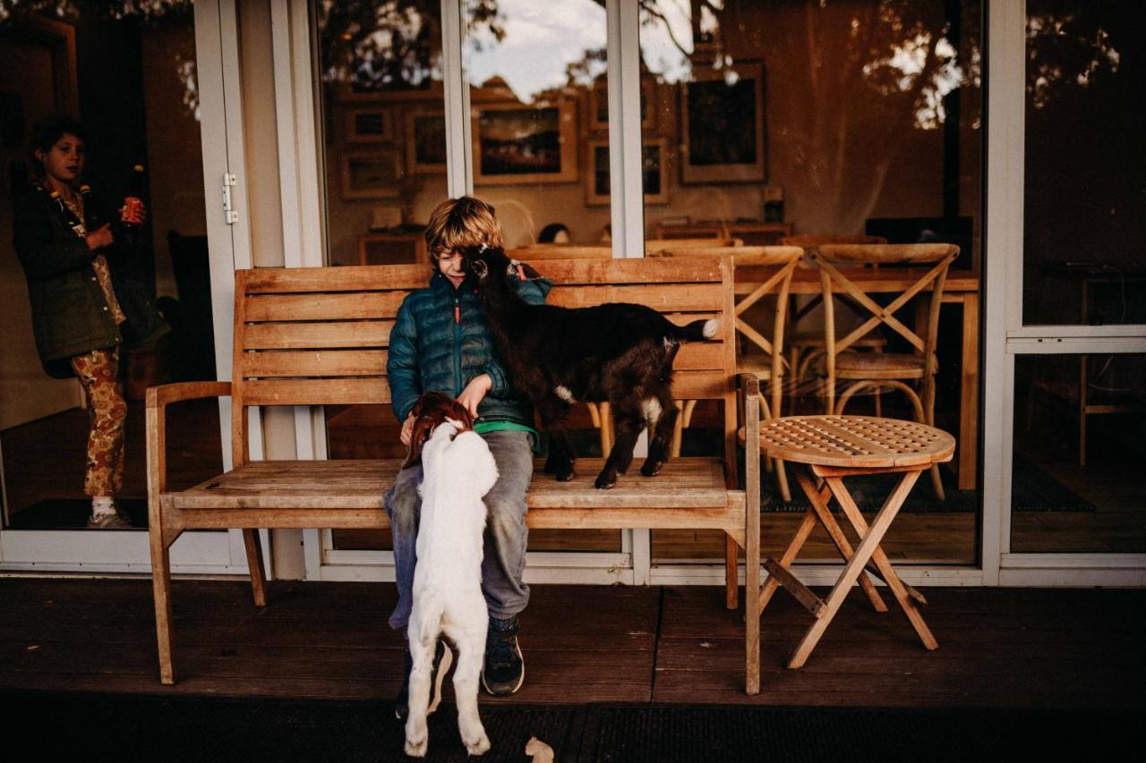 Margaret River Holiday Cottages מראה חיצוני תמונה